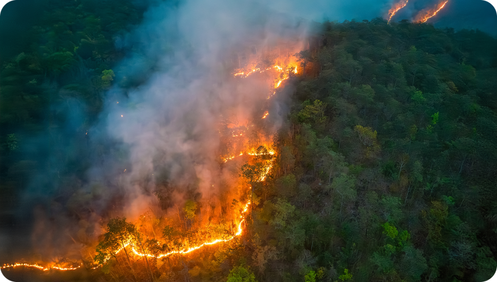 Imagem 1 das alterações climáticas